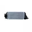 Intercooler, échangeur NRF 309032 - Visuel 1