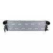 Intercooler, échangeur NRF 309037 - Visuel 1