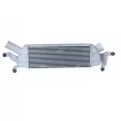 Intercooler, échangeur NRF 309042 - Visuel 1