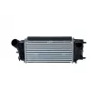Intercooler, échangeur NRF 309050 - Visuel 1