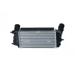 Intercooler, échangeur NRF 309050 - Visuel 3