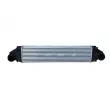 Intercooler, échangeur NRF 309064 - Visuel 1