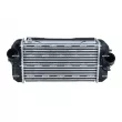 Intercooler, échangeur NRF 309066 - Visuel 1