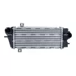 Intercooler, échangeur NRF 309070 - Visuel 1