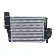 Intercooler, échangeur NRF 309077 - Visuel 1