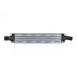 Intercooler, échangeur NRF 309103 - Visuel 1