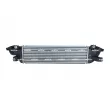 Intercooler, échangeur NRF 309113 - Visuel 1