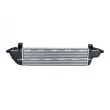 Intercooler, échangeur NRF 309113 - Visuel 3