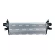 Intercooler, échangeur NRF 309117 - Visuel 3
