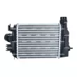 Intercooler, échangeur NRF 309125 - Visuel 3