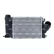 Intercooler, échangeur NRF 309131 - Visuel 1