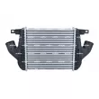 Intercooler, échangeur NRF 309133 - Visuel 1