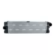 Intercooler, échangeur NRF 309142 - Visuel 1