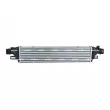Intercooler, échangeur NRF 309146 - Visuel 1