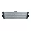 Intercooler, échangeur NRF 309160 - Visuel 1