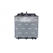 Radiateur, refroidissement du moteur NRF 504271 - Visuel 1