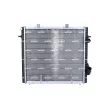 Radiateur, refroidissement du moteur NRF 507359 - Visuel 1