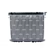 Radiateur, refroidissement du moteur NRF 509532 - Visuel 1