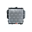 Radiateur, refroidissement du moteur NRF 513161 - Visuel 1