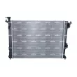 Radiateur, refroidissement du moteur NRF 550009 - Visuel 3