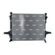 Radiateur, refroidissement du moteur NRF 550019 - Visuel 1