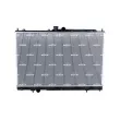Radiateur, refroidissement du moteur NRF 550041 - Visuel 1
