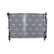 Radiateur, refroidissement du moteur NRF 550086 - Visuel 1