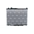 Radiateur, refroidissement du moteur NRF 550092 - Visuel 1