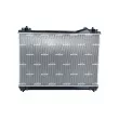 Radiateur, refroidissement du moteur NRF 550105 - Visuel 3