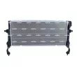 Radiateur, refroidissement du moteur NRF 550130 - Visuel 3