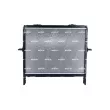 Radiateur, refroidissement du moteur NRF 550135 - Visuel 3