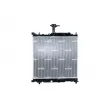 Radiateur, refroidissement du moteur NRF 550139 - Visuel 1