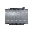 Radiateur, refroidissement du moteur NRF 550161 - Visuel 1