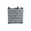 Radiateur, refroidissement du moteur NRF 550163 - Visuel 3