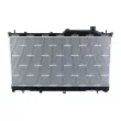 Radiateur, refroidissement du moteur NRF 550170 - Visuel 3