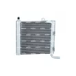 Radiateur, refroidissement du moteur NRF 550176 - Visuel 1