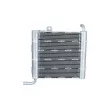 Radiateur, refroidissement du moteur NRF 550176 - Visuel 3