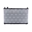 Radiateur, refroidissement du moteur NRF 550179 - Visuel 1