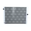 Radiateur, refroidissement du moteur NRF 550185 - Visuel 1
