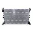 Radiateur, refroidissement du moteur NRF 550195 - Visuel 1