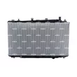 Radiateur, refroidissement du moteur NRF 550196 - Visuel 1