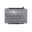 Radiateur, refroidissement du moteur NRF 550203 - Visuel 1
