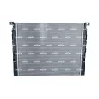 Radiateur, refroidissement du moteur NRF 550220 - Visuel 3