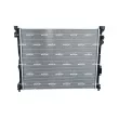 Radiateur, refroidissement du moteur NRF 550244 - Visuel 3