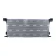 Radiateur, refroidissement du moteur NRF 550248 - Visuel 3
