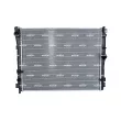 Radiateur, refroidissement du moteur NRF 550259 - Visuel 1