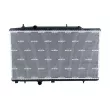 Radiateur, refroidissement du moteur NRF 550286 - Visuel 1