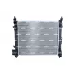 Radiateur, refroidissement du moteur NRF 550293 - Visuel 1