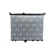 Radiateur, refroidissement du moteur NRF 550296 - Visuel 1