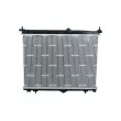 Radiateur, refroidissement du moteur NRF 550296 - Visuel 3